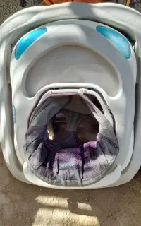 کالسکه و روردئک