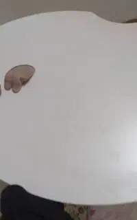 پالت رنگ روغن