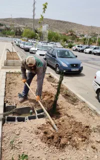 باغبانی