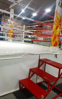 مربی بوکس (بانوان)