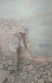 تخریب کار حرفه ای افغانستانی
