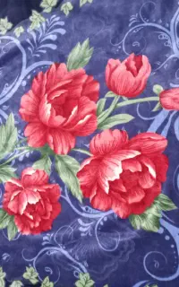 پتو دونفره