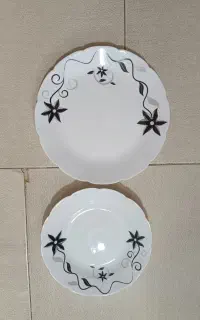 سرویس ارکوپال دسینی