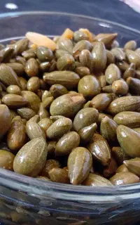 تُرشی لَگَجی
