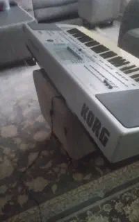 ارگ .