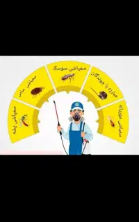 سمپاشی باضمانت هرنوع حشرات گلشهرمهرشهر کمالشهر قلم