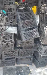 سبد جا میوه