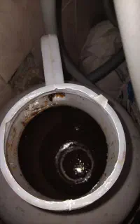 عسل کندوی