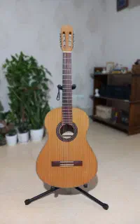 گیتار مدل mat4