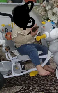 روروئک، کریر