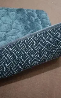 پادری ترمز دار