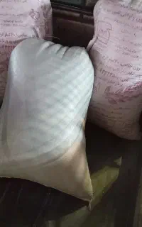 گندم درج یک