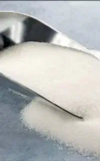 شکر