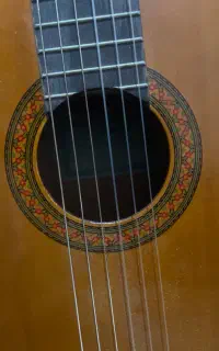 آموزش گیتار پاپ و کلاسیک توسط مدرس خانم