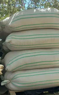 کاه