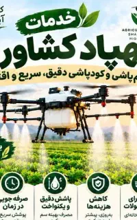 خدمات محلول پاشی