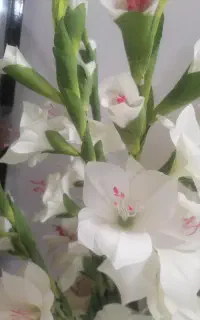 گل مصنوعی خارجی