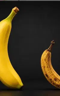 همراه شما در بهبود سلامت و کیفیت زندگی