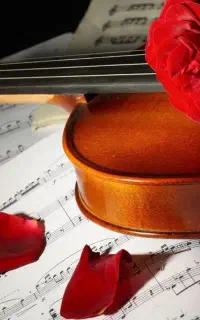 تدریس و آموزش ساز ویولون