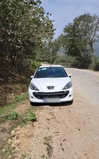 ۲۰۷ سقف فلز دنده ای تیوفایوپلاس