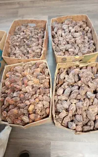 خرمالو خشک ارمنستان(قرالوک)