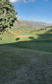 زمین کشاورزی