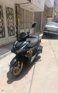 آیروکس ۴۰۳