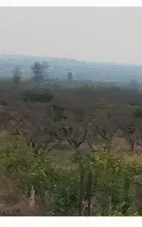 نگهبان باغ