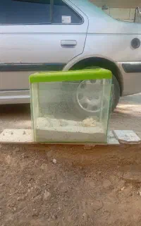 اکواریوم