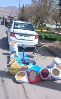 حبوبات لوبیا چیتی سفید قرمز  بلبلی محلی نخود عدس