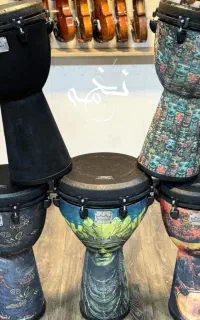 جیمبی های Remo
