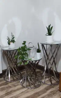 عسلی کنار سالنی