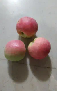سیب برای سرکه کیلوبالا