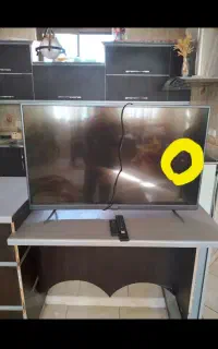 تلویزیون ۴۳ ایکس ویژن
