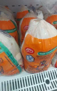 فروش مرغ تاریخ روز