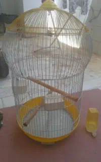 قفس پرنده