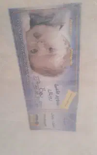 تشک رویال