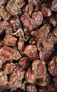 الوچه خشک محلی