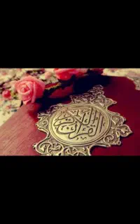 سرکتاب