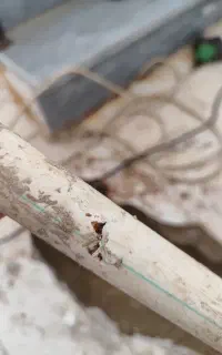 نشت یابی