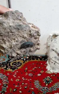 فروش شهاب سنگ