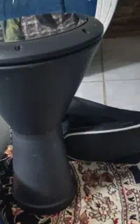 تیمپو پژواک