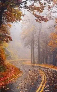 پروژکتو اوپتما بدون استفاده، نو