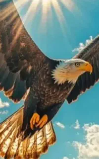 نیاز به یک کار دارم فوری