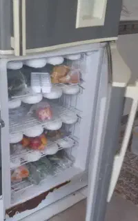 یخچال ۲۲ فوت سوزان