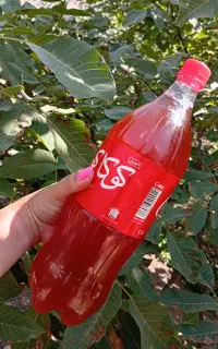 آبغوره خانگی خوش طعم و رنگ