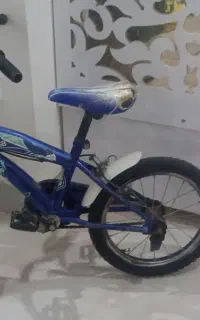 دوچرخه