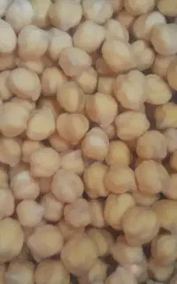 نخود آبگوشتی