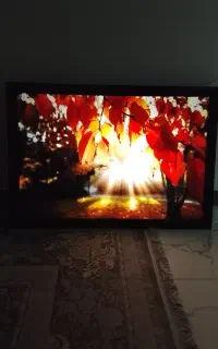 تابلو شب نما جذاب