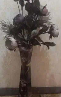 گل نو